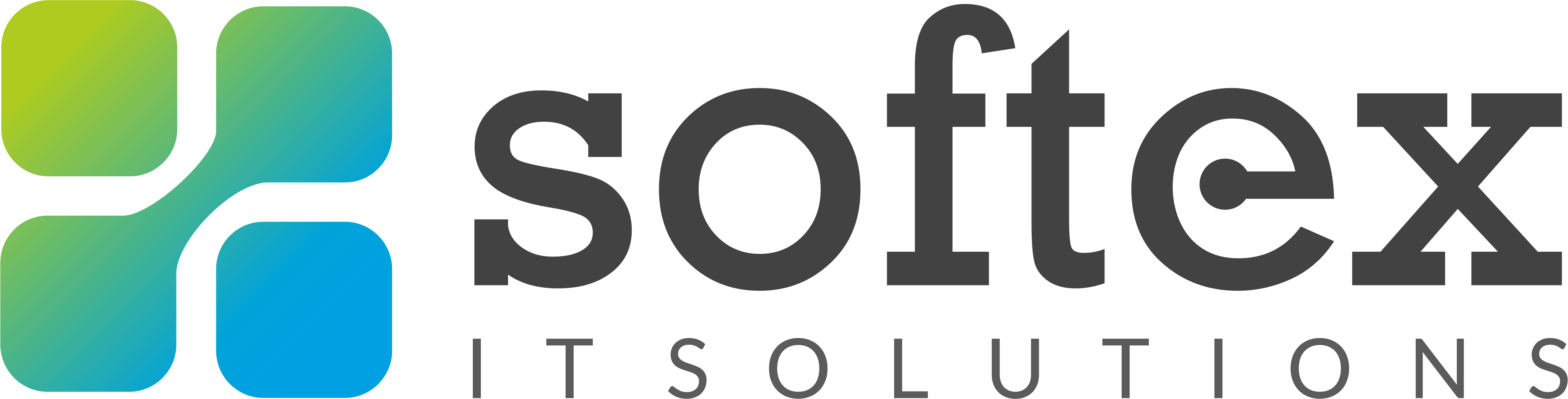 Softex IT Solutions
